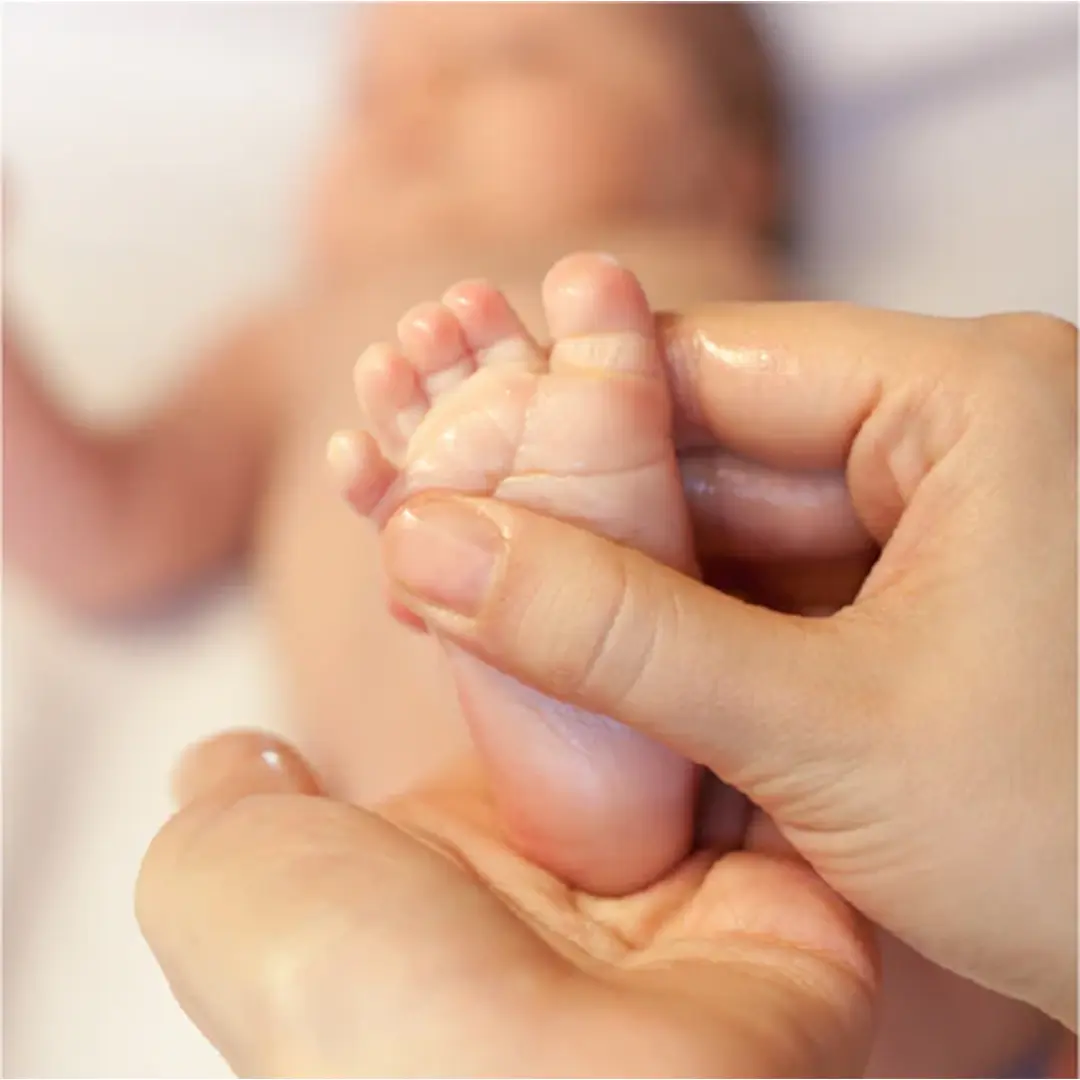 Image of Baby Forest