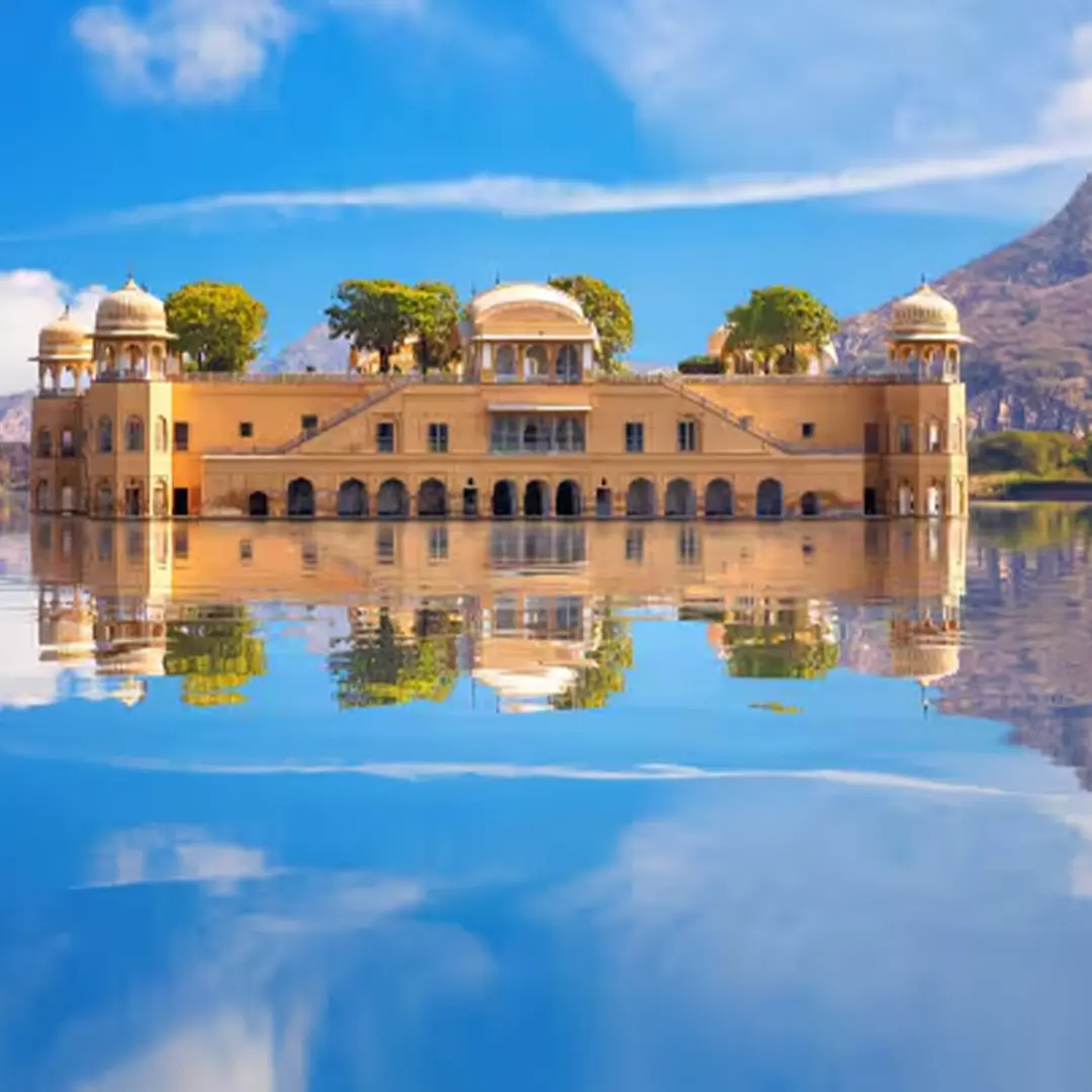 Image of Indigo Web Sightseeing 