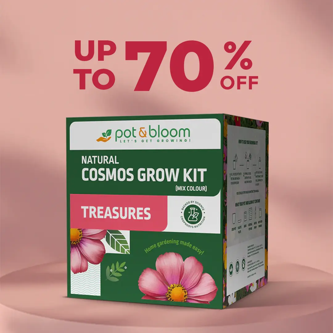 Pot & Bloom