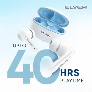 Thumbnail of Elver