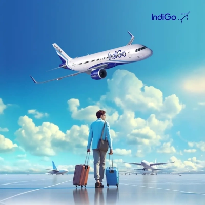 Image of Indigo Flights