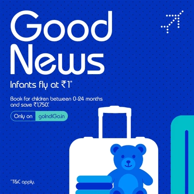 Image of Indigo Flights